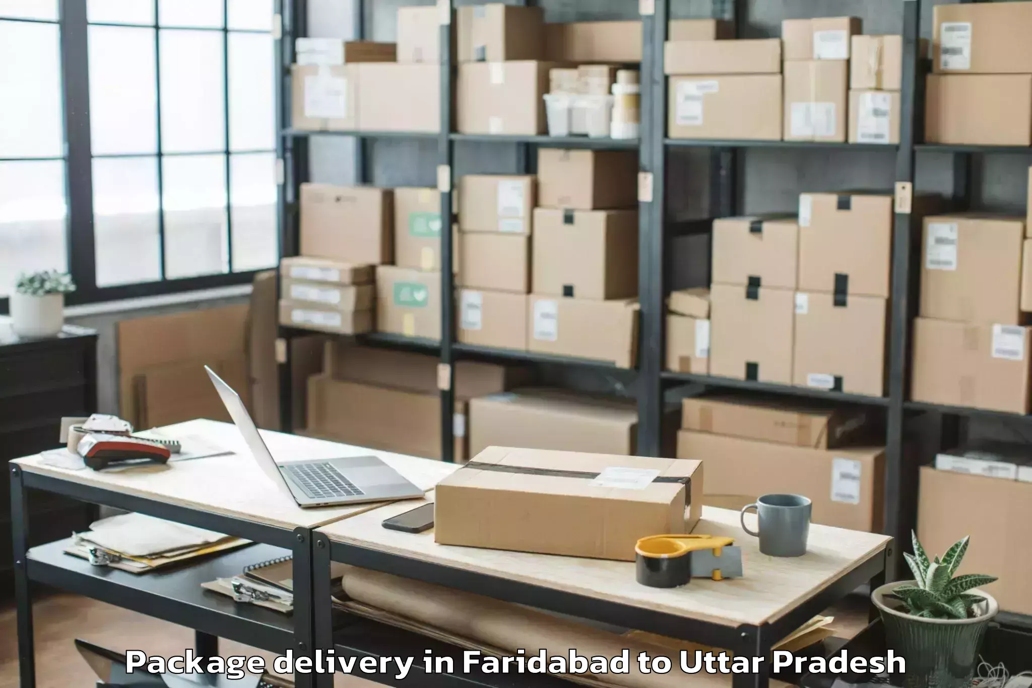 Quality Faridabad to Bundelkhand University Jhansi Package Delivery